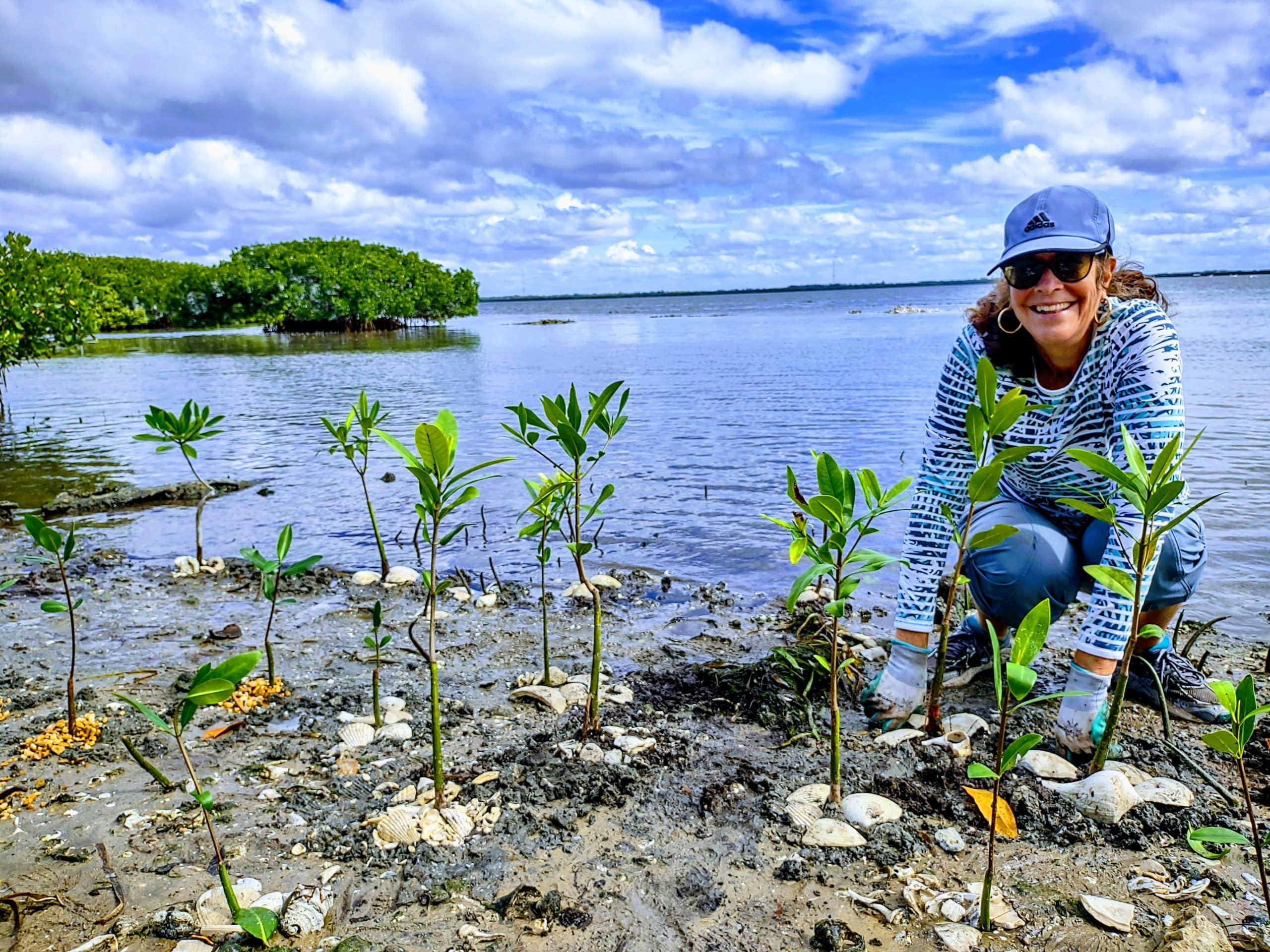 image of woman planting mangrove saplings