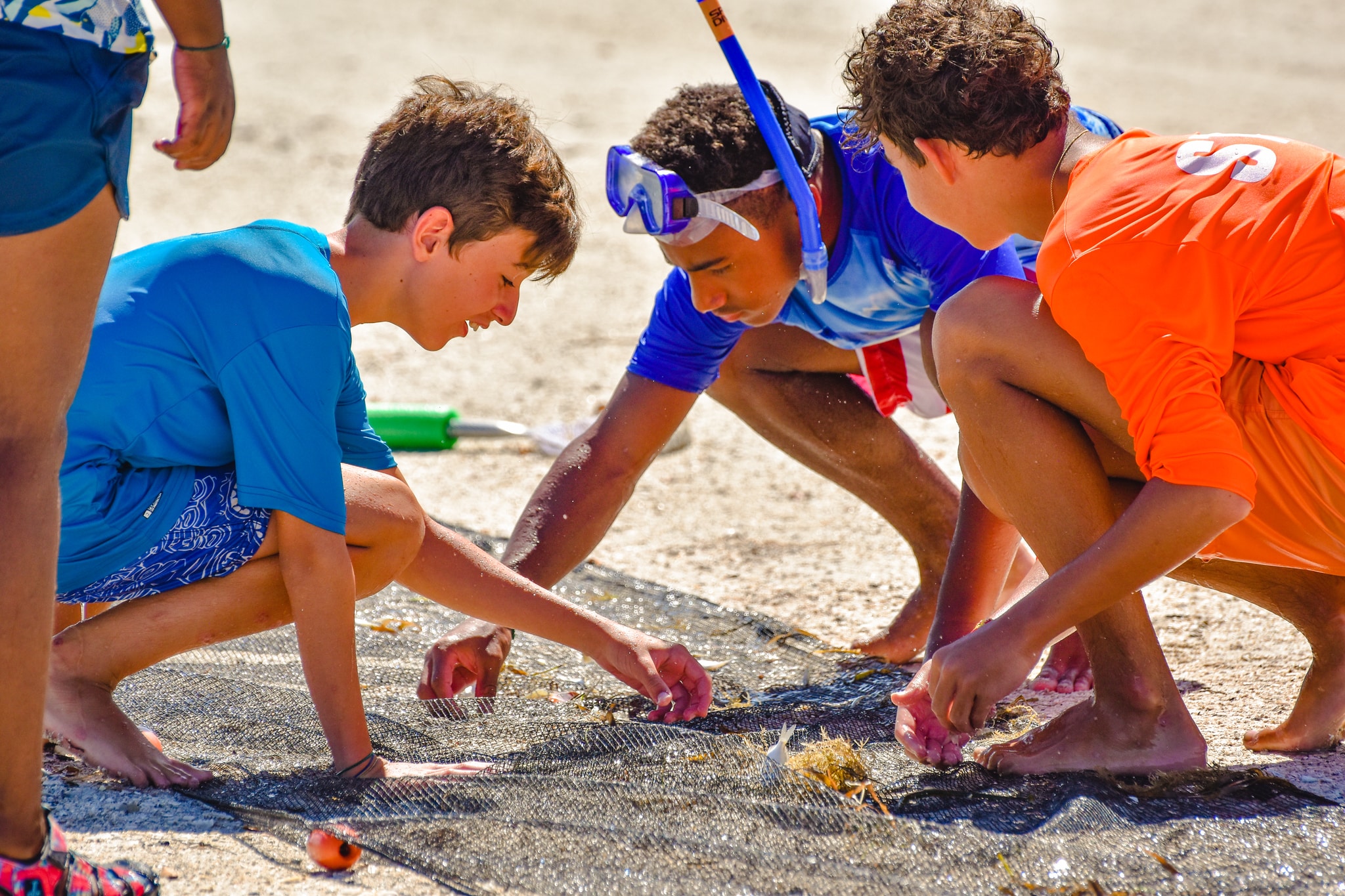 image of children exploring the sand