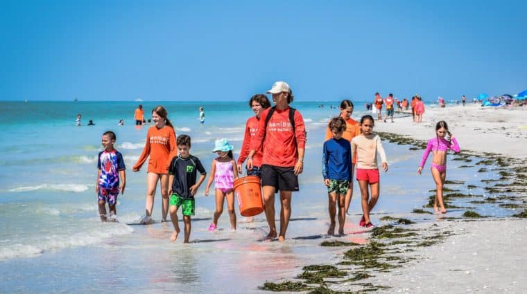 How Many Sand Dollars Are There On Sanibel? — Sanibel Sea School