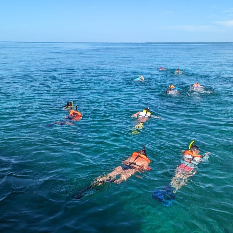 children snorkeling
