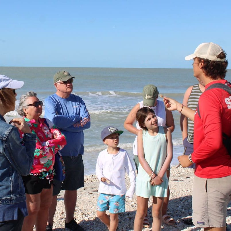 Beach Combing