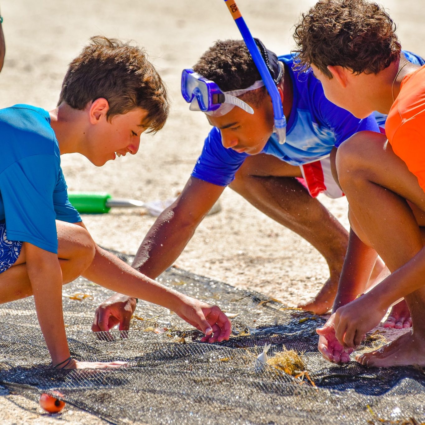 image of children exploring the sand